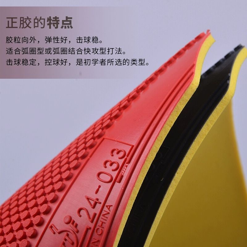 Karet Tenis Meja DHS Dragon Sh - Table Tennis Venue ulasan dan harga